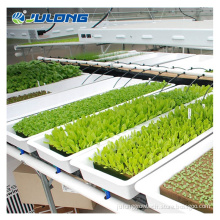Hydroponic seeding growing system greenhouse